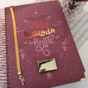 BÍBLIA SAGRADA ANOTE ILUSTRADA / NVT / CAPA ROSA BRILHANTE