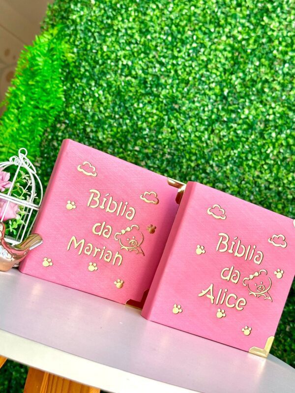 BÍBLIA INFANTIL NO TECIDO- URSINHA OU URSINHO