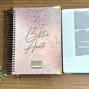 BÍBLIA ANOTE / NVI / LETRA GRANDE / PÚRPURA